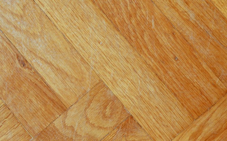 photo 11 77baer6R I8 unsplash scaled